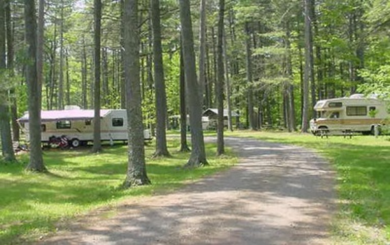 A meandering road through shady pines with RV camper and tent sites at Memorial Park Campground.